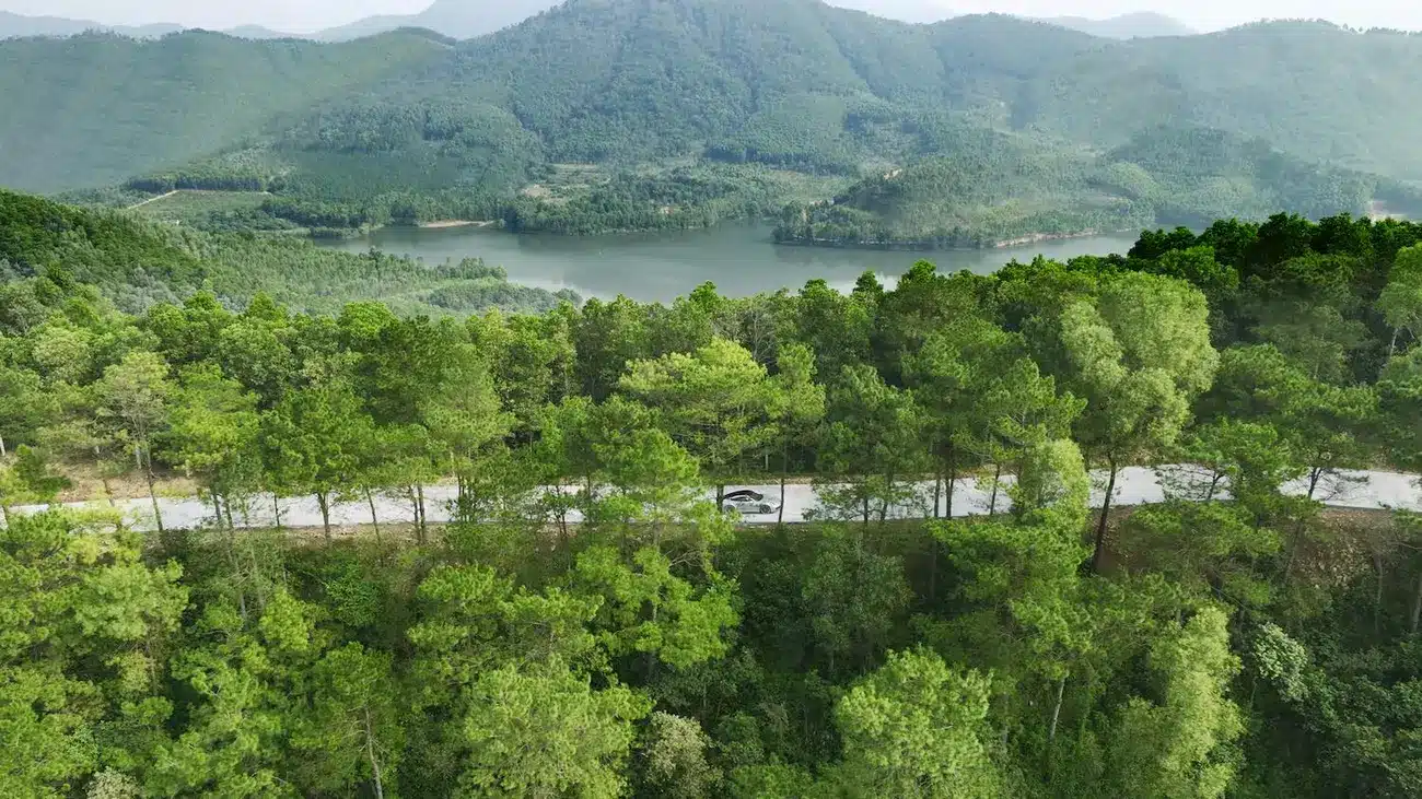 Cảnh quan xanh mát và thiên nhiên tại Thanh Xuân Valley Vĩnh Phúc tạo nên môi trường sống lý tưởng cho cư dân.